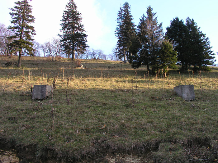Entdeckung auf dem Weg zum Balmberg: Stand hier mal ein Skilift? Oder eine Stromleitung?
