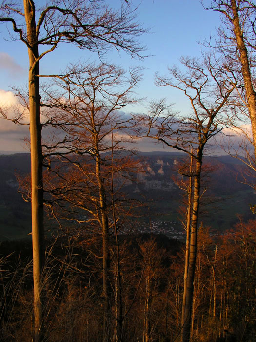 ... und die [url=http://www.jacomet.ch/themen/skilift/album/thumbnails.php?album=144]Fortsetzung gibts hier[/url]!

