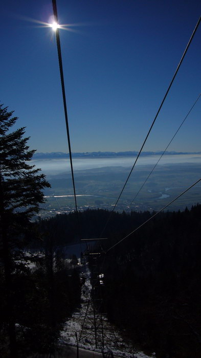 23. Januar 2008
