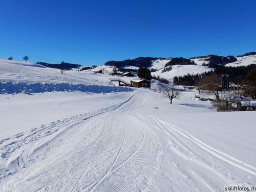 20190214-fischenthal-058.jpg