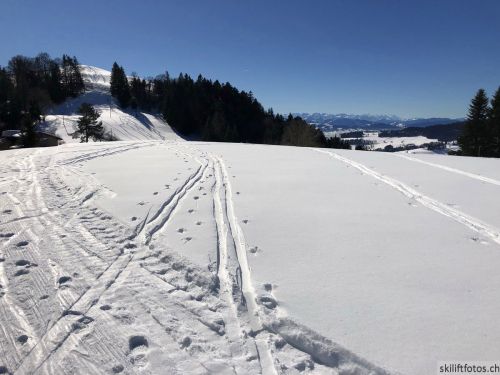 20190214-fischenthal-075.jpg