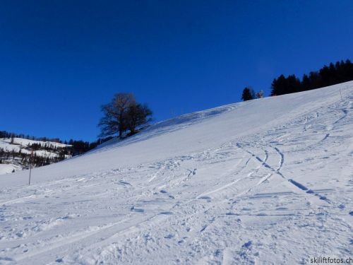20190214-fischenthal-105.jpg