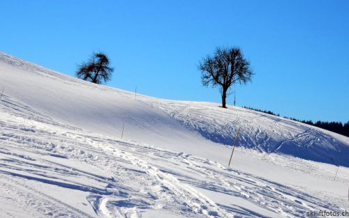 20190214-fischenthal-128.jpg