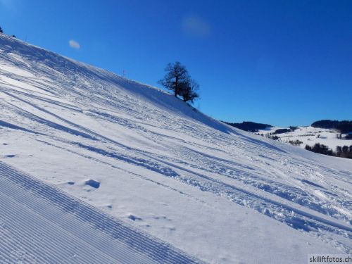 20190214-fischenthal-133.jpg