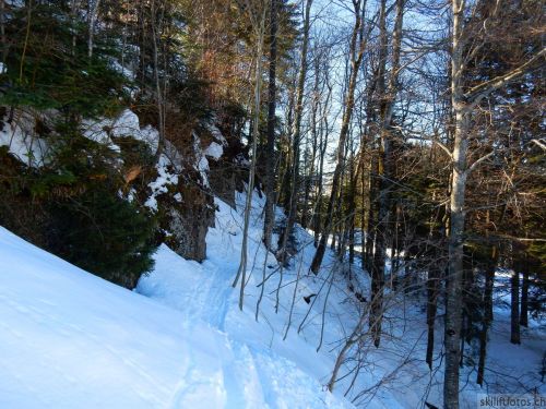 20190214-fischenthal-147.jpg