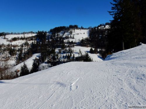 20190214-fischenthal-153.jpg
