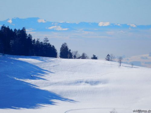 20190214-fischenthal-172.jpg