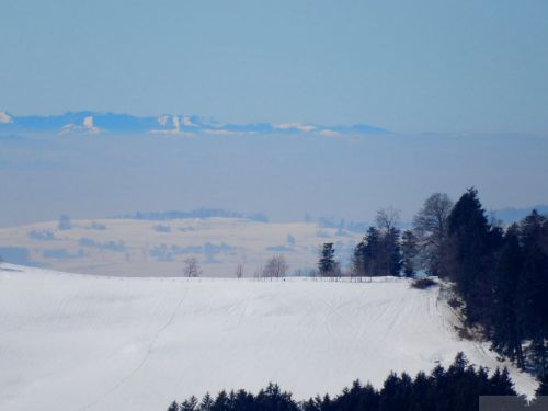 20190214-fischenthal-173.jpg