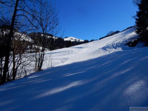 20190214-fischenthal-188.jpg