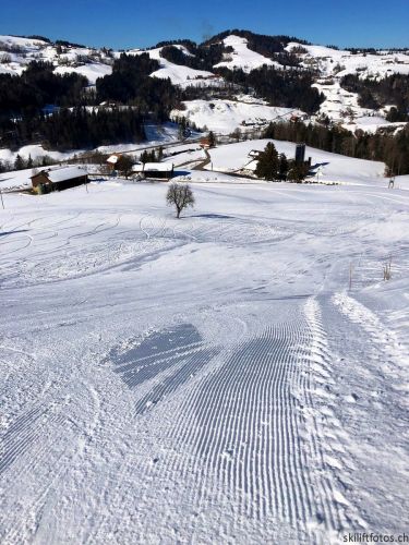 20190214-fischenthal-202c.JPG