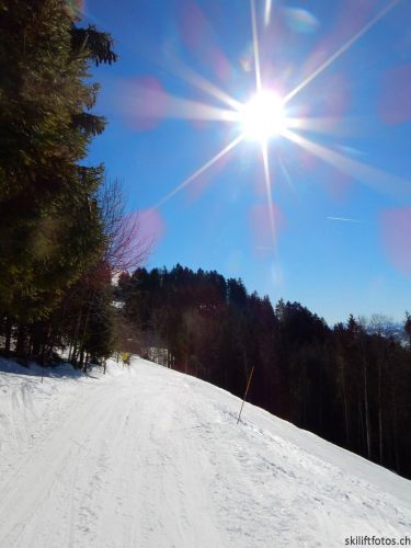 20190214-fischenthal-206.jpg