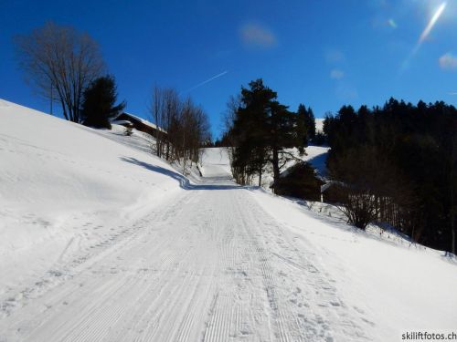 20190214-fischenthal-207.jpg