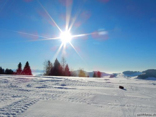20190214-fischenthal-255.jpg