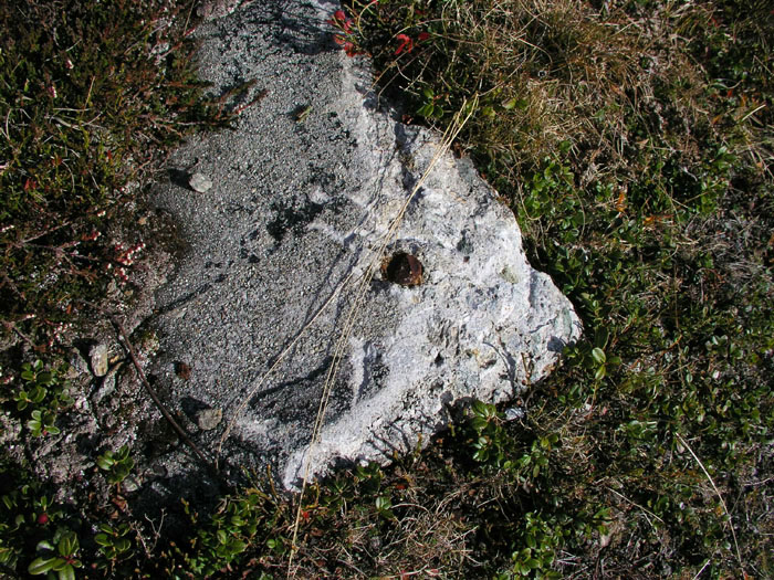 Detail aus dem vorherigen Bild
