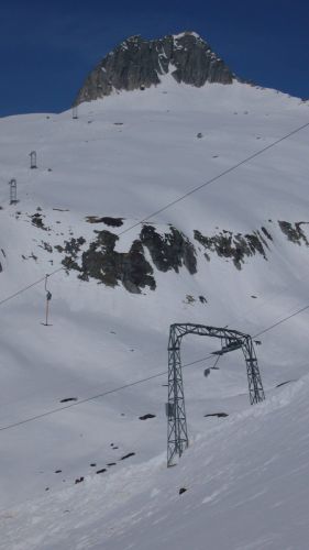 9. April 2007, mit Schneehühnerstock
