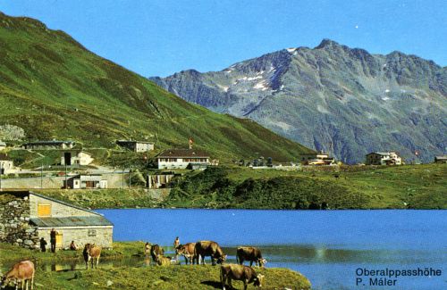 Sommerfoto aus dem selben Prospekt, muss aus der Zeit 1962-1965 stammen; der Lift ist noch nicht verlängert, die Masten sind aber lackiert
