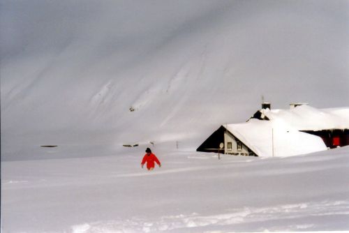 Rekordschnee, Februar 1999 -  [url=http://www.meteoschweiz.ch/web/de/forschung/wissenswertes/besondere_ereignisse/lawinenwinter.html]mehr zum Rekordschnee in den Alpen hier[/url]
