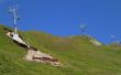 Dateiname=20160813-sedrun-279.jpg
Dateigröße=365KB
Abmessungen: 1500x940
hinzugefügt am: 14. August 2016 20160813-sedrun-279.jpg
