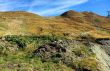 Dateiname=20160929-sedrun-3742.jpg
Dateigröße=601KB
Abmessungen: 1300x848
hinzugefügt am: 29. September 2016 20160929-sedrun-3742.jpg