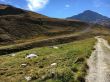 Dateiname=20160929-sedrun-3879.jpg
Dateigröße=623KB
Abmessungen: 1300x975
hinzugefügt am: 29. September 2016 20160929-sedrun-3879.jpg