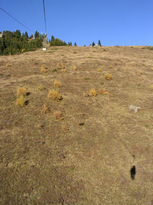 cungieri-schluss-20051016-932.jpg