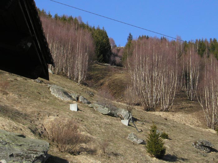 20. April 2006
