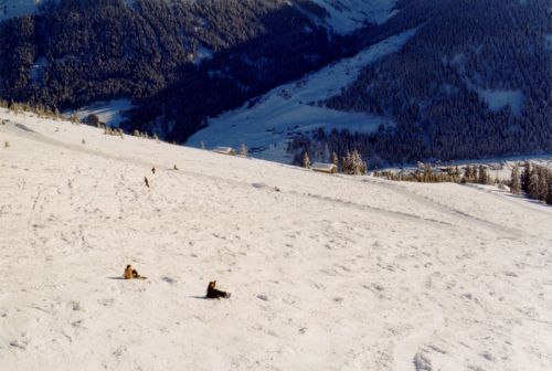 25. Februar 1999
