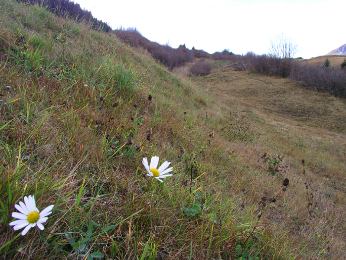 Erste Meter des früheren Trassees oberhalb der Talstation
