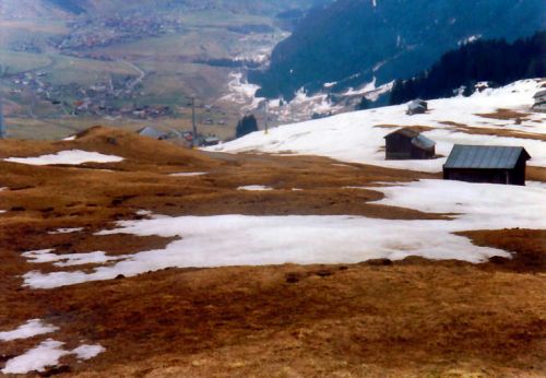 Ende Februar 1990, Planatsch
