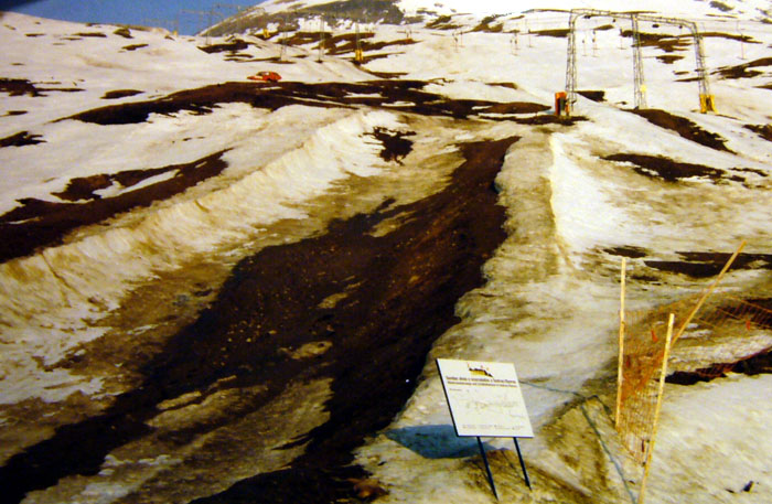 Schneemangel im Februar 1998
