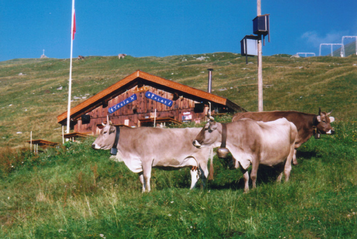 Ende 1990er-Jahre
