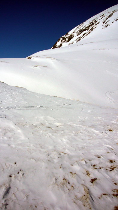 29.3.2008

