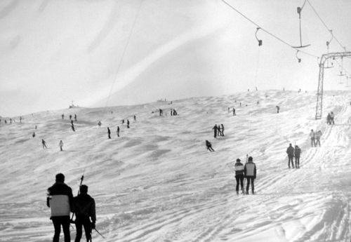 Winter 1980
