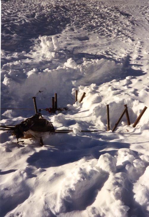 19900120-wenigschnee-alpsu01.jpg