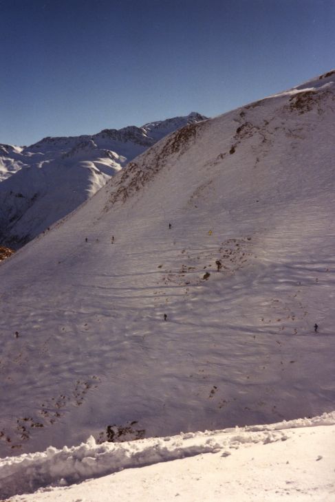 19900207-tiarms.jpg