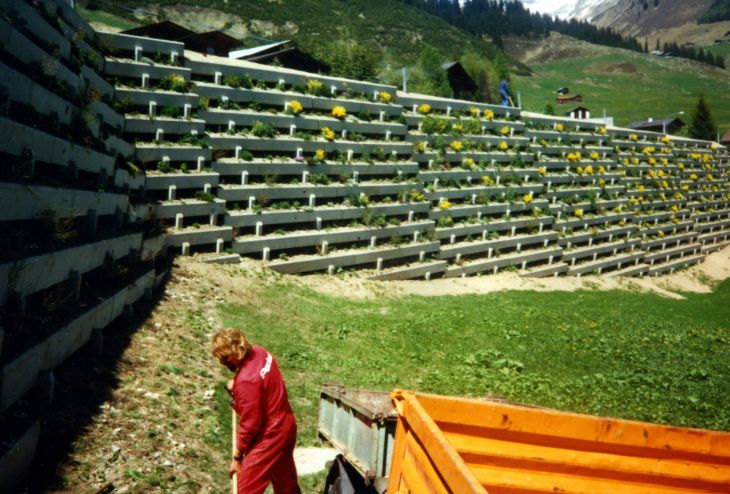 19900715-sommer-dieni-02_01.jpg