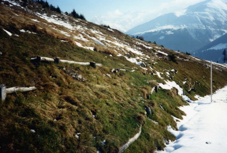 19931111-cungieri_01.jpg