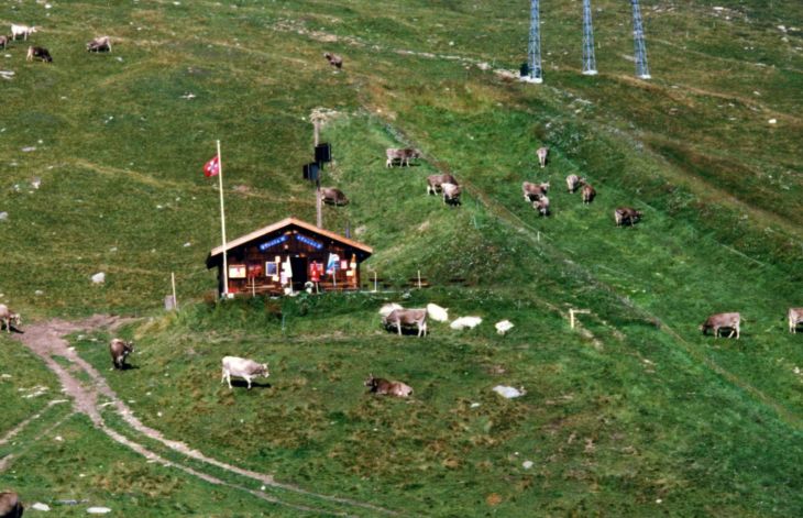 19990828-palas_02.jpg