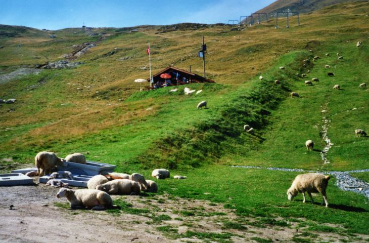 20000920-schneeanlage-17_03.jpg