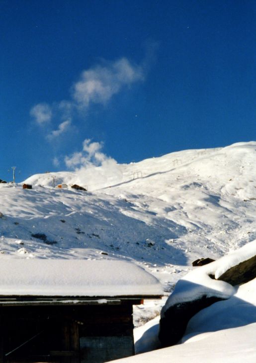 20001202-dieni-milez-004.jpg