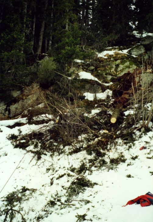 20001212-dieni_04.jpg