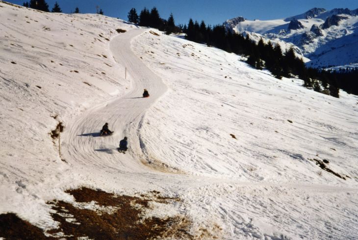 20020205-wenigschnee-04_03.jpg