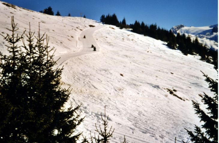 20020205-wenigschnee-04_04.jpg