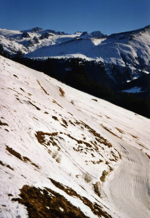 20020205-wenigschnee-05_02.jpg