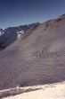 19900207-tiarms.jpg