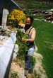 19900715-sommer-dieni-01_01.jpg