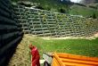 19900715-sommer-dieni-02_01.jpg