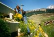 19900715-sommer-dieni-02_04.jpg