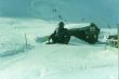 19930105-alpsu-gorilla.jpg
