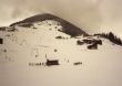 19930116-surrein08.jpg